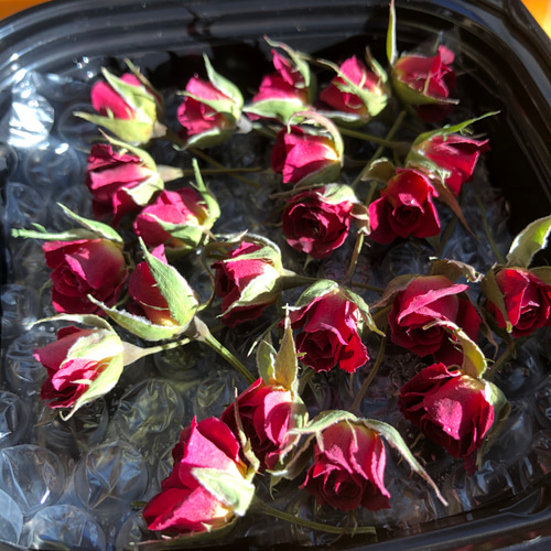 ミニミニ薔薇！ミニバラ ドライフラワー☆20輪セット+おまけ2輪