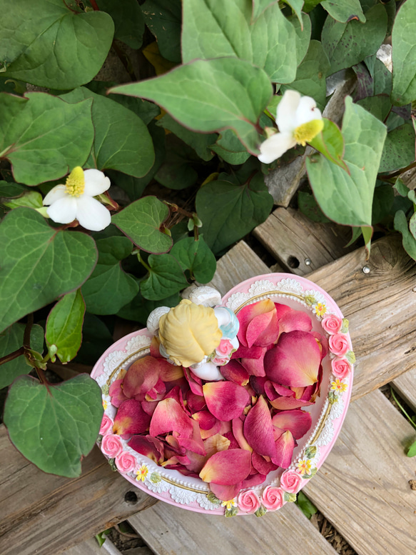 大容量！ミニ薔薇の花びら6gセット+αおまけ付き！（うすピンク）ドライフラワー★花弁ミニローズ★期間限定　数量限定★ 2枚目の画像