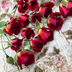 ドライフラワー❇️ミニバラ 長め❣️ ミニミニ薔薇（茎長め）ドライフラワー☆15輪セット+おまけ1輪付き