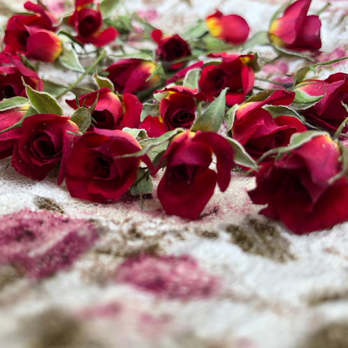 ドライフラワー❇️ミニバラ 長め❣️ ミニミニ薔薇（茎長め）ドライフラワー☆15輪セット+おまけ1輪付き