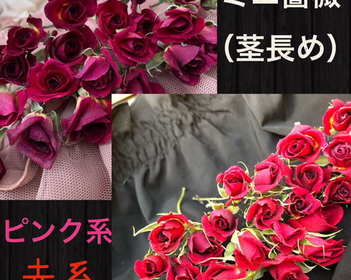 大容量！ミニ薔薇（茎長め）ドライフラワー☆25輪セット+おまけ2