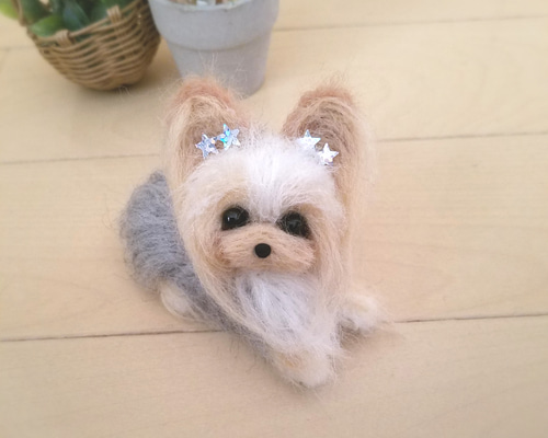 0_c84cc9bf34b03e4f46e2ca77b0cc