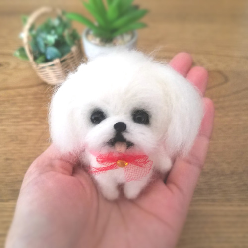 羊毛フェルト　ペキニーズ 9cbce126f024cc3c97c673f4339b4a