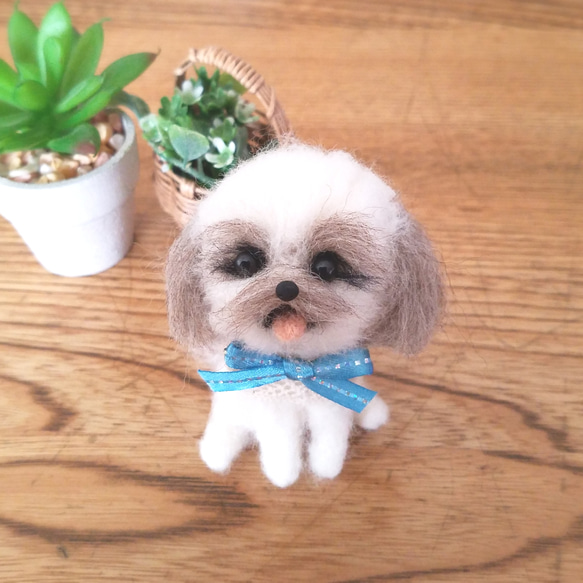羊毛フェルト シーズー 羊毛フェルトシーズー