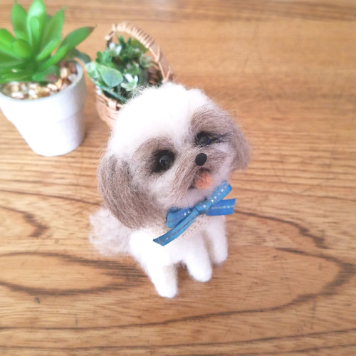 送料無料】羊毛フェルト シーズー♡ 羊毛フェルト ♡ron♡ 通販