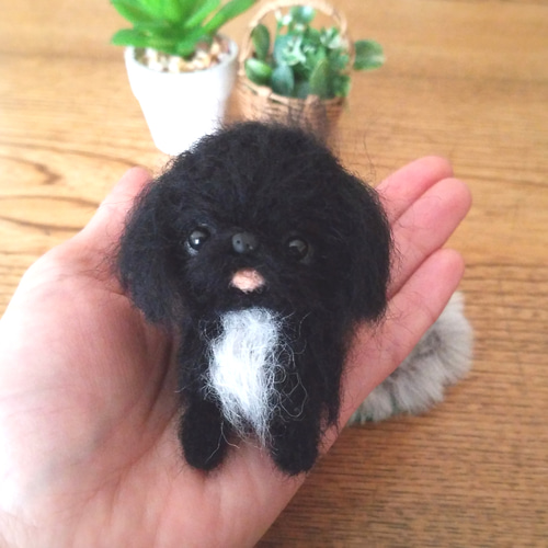 羊毛フェルト　ペキニーズ hqdefault.jpg