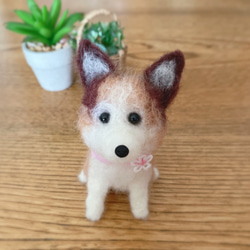 送料無料】羊毛フェルト ペキニーズ 羊毛フェルト ♡ron♡ 通販