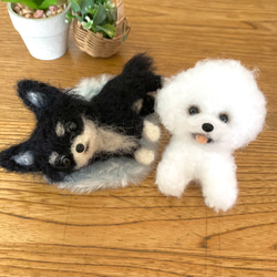羊毛フェルト　ビションフリーゼ　アザラシ　犬　ハンドメイド　ミニチュア 羊毛フェルトで簡単】あなたのペットも立体に！ビション