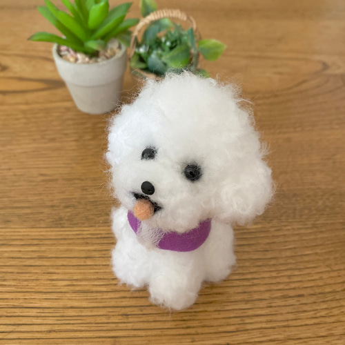 羊毛フェルト 犬 ビションフリーゼ 羊毛フェルト ビションフリーゼさんフレーム 羊毛フェルト 羊毛