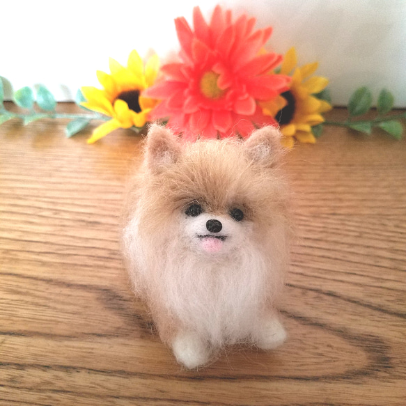 羊毛フェルト　ポメラニアン いつでもいっしょ♪ ふわふわ羊毛フェルトのポメラニアン 犬の