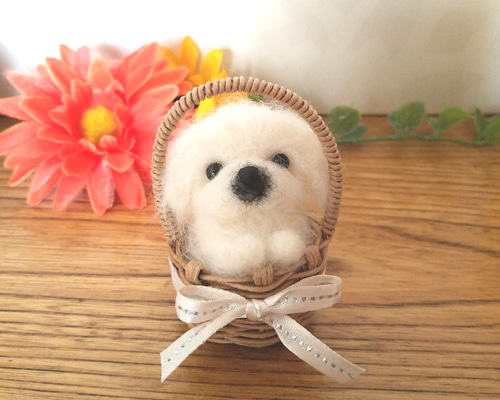 羊毛フェルト　ペキニーズ 羊毛フェルト】ペキニーズ・笑顔の白ペキちゃんやっと完成しました