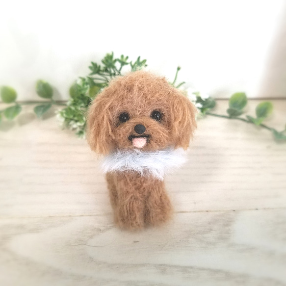羊毛フェルト トイプードル トイプー ドールハウス インテリア 羊毛 