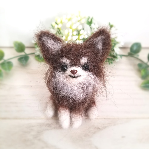 羊毛フェルト チョコタンチワワ 問い合せ