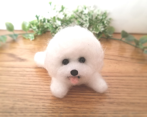 羊毛フェルト　ビションフリーゼ　アザラシ　犬　ハンドメイド　ミニチュア 1_baff001cab35eb47571927b80a77