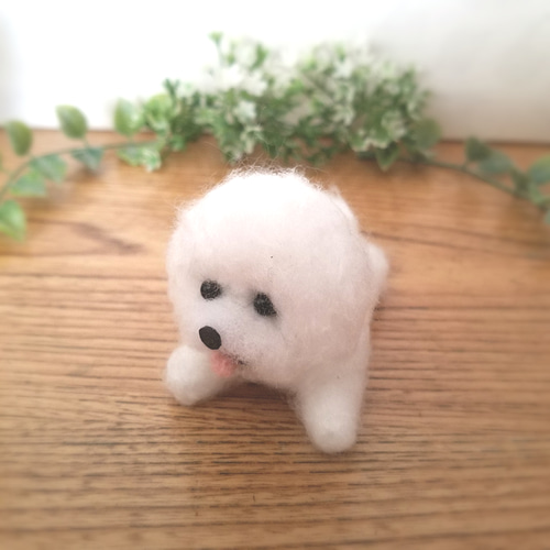羊毛フェルト ビションフリーゼ ビション 犬 ミニチュア