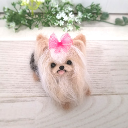 マロンだ様　オーダーページ　羊毛フェルト　黒柴　ヨークシャテリア　チャーム オーダー見本 黒柴犬 柴犬 羊毛フェルト黒柴犬 節分飾り 羊毛
