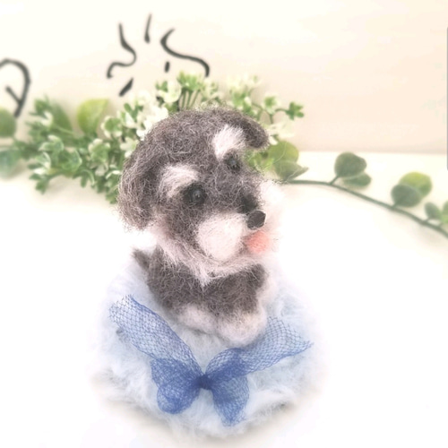 羊毛フェルト ミニチュアシュナウザー momoichigo