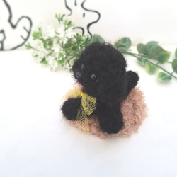 羊毛フェルト　トイプードル　黒　ブラック　ミニチュア　犬 4枚目の画像