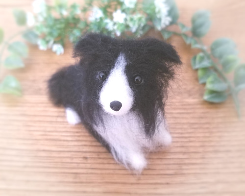 羊毛フェルト ボーダーコリー ミニチュア 犬 羊毛フェルト ♡ron