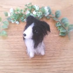 羊毛フェルト　ボーダーコリー　ミニチュア　犬 4枚目の画像