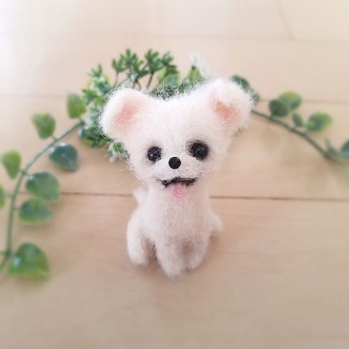 羊毛フェルト チワワ ミニチュア 子犬 羊毛フェルト ♡ron♡ 通販