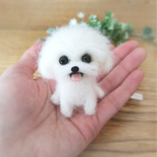羊毛フェルトいぬマルチーズミニチュアハンドメイド