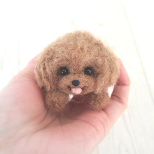 羊毛フェルト 犬 トイプードル 羊毛フェルト🐩羊毛フェルト犬🐩トイプードル🐩の通販 by