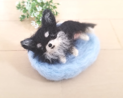 羊毛フェルト　チワワ　ブラックタン　ハンドメイド　犬 羊毛フェルト チワワ ブラックタン ハンドメイド 犬 - メルカリ