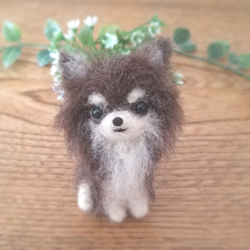 羊毛フェルト チワワ♡チョコタン 羊毛フェルト ♡ron♡ 通販