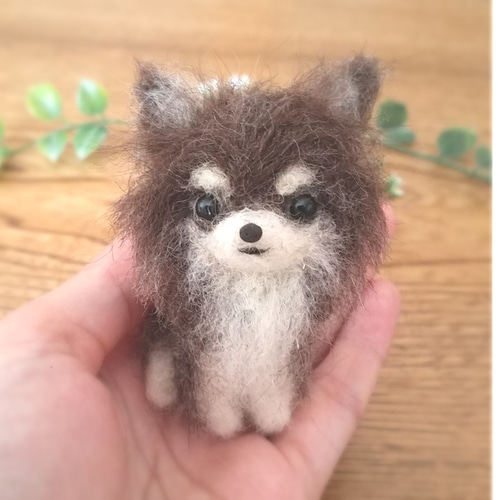 羊毛フェルト チワワ♡チョコタン 羊毛フェルト ♡ron♡ 通販 9832057