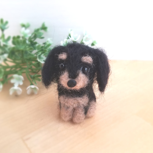 羊毛フェルト　ミニチュアダックス　ブラックタン　犬 見本 ブラックタンダックスフンド ミニチュアダックスフンド