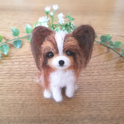 羊毛フェルト☆パピヨン☆ぬいぐるみ☆ハンドメイドの通販 by