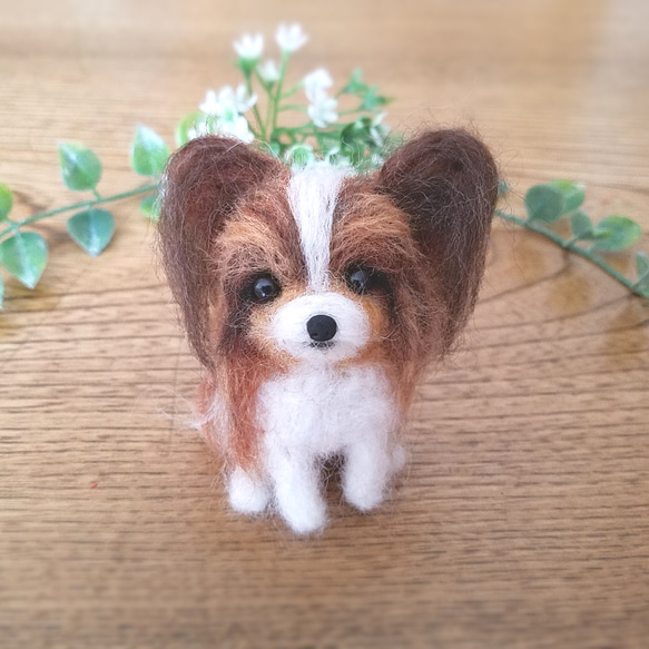 送料無料】羊毛フェルト パピヨン♡犬 羊毛フェルト ♡ron