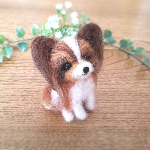 送料無料】羊毛フェルト パピヨン♡犬 羊毛フェルト ♡ron