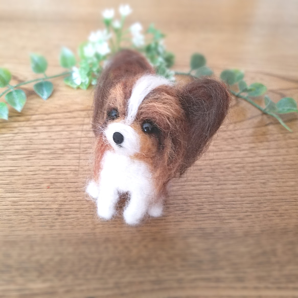 【送料無料】羊毛フェルト　パピヨン♡犬 4枚目の画像