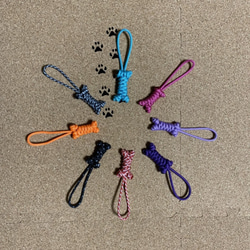 首輪一体型パラコードリード リード・首輪 moka-r 通販 10333162