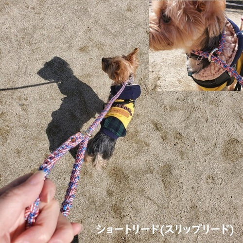 4way 二頭引きショルダーリード(ハンズフリー) 長さ調整可能 分離