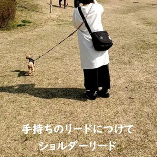 KMC ✿ 2頭引きショルダーリード 楽天市場】＼お買い物マラソン！全品P5+5％OFF／犬 肩掛けリード