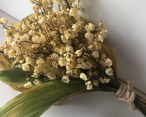 1_17932f7893c17d826cd652163905