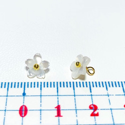 高品質ホワイトシェル（白蝶貝）AAA　桜　8ｍｍ　チャーム　２個　ハンドメイド素材 5枚目の画像