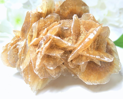 1_e318888d9df166ea182d4b32420a