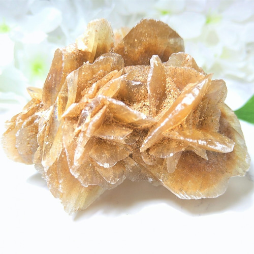 モロッコ デザートローズ 知性の石～ 天然石 デザートローズ モロッコ産〖砂漠の薔薇（バラ