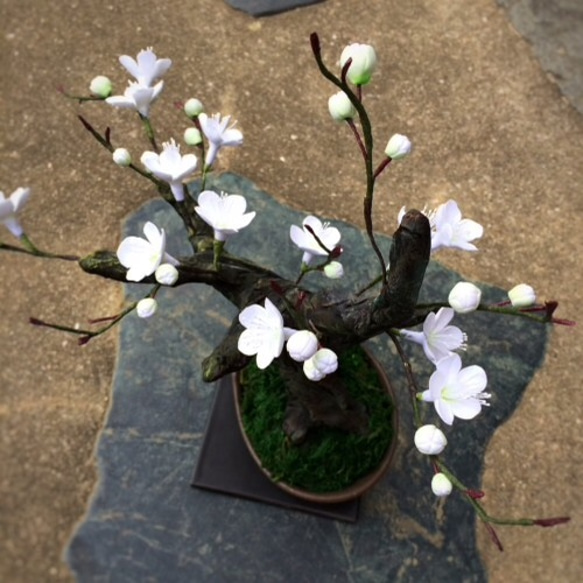 [再販‼︎受注製作]盆栽〜クレイの梅の花〜 2枚目の画像