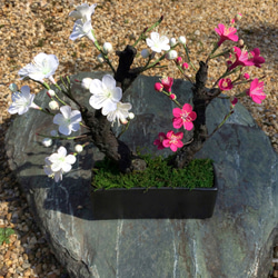 [再販‼︎受注製作]盆栽〜クレイの梅の花〜 3枚目の画像
