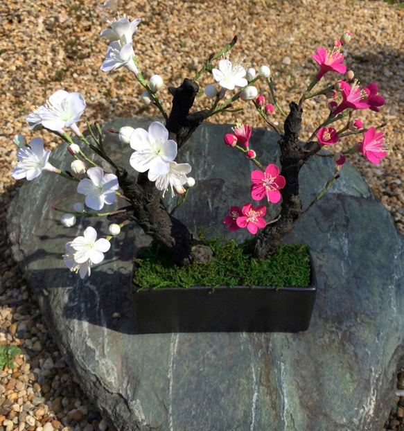 [再販‼︎受注製作]盆栽〜クレイの梅の花〜 3枚目の画像