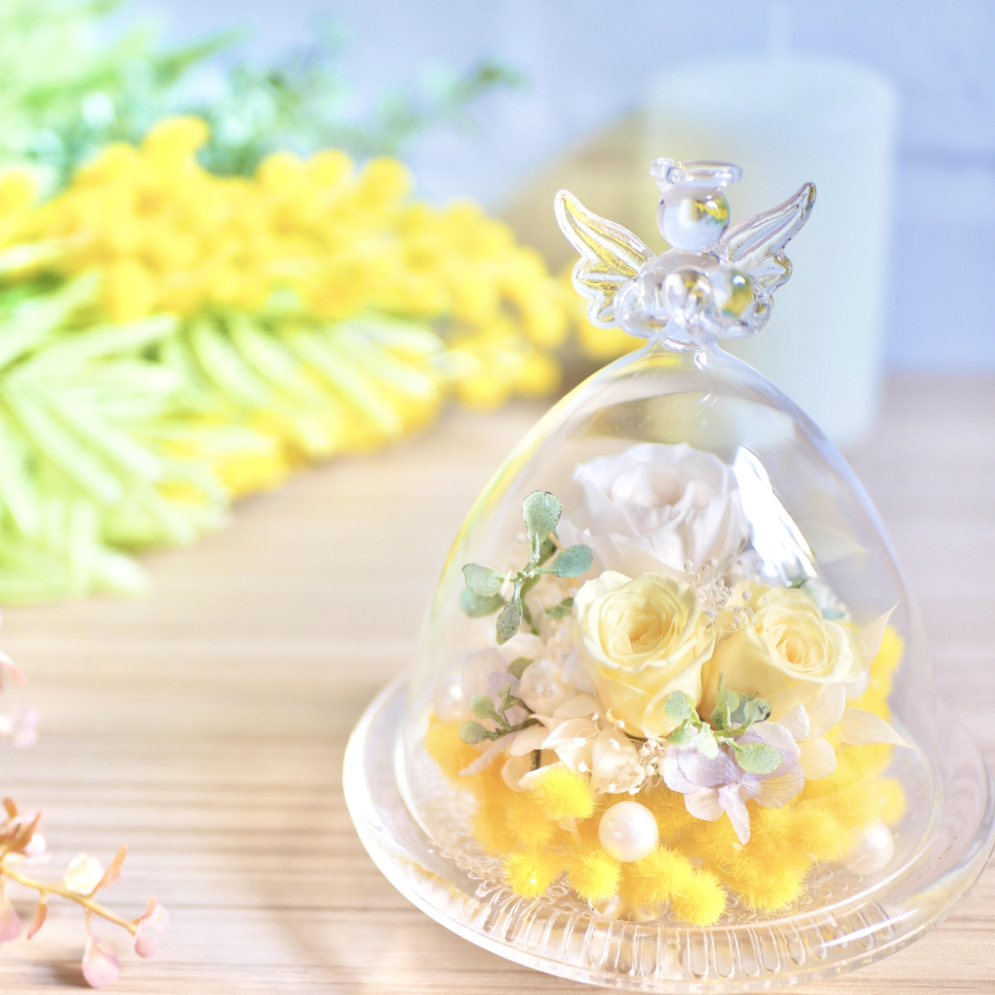 幸せのミモザ✳︎ガラスドーム        Ω