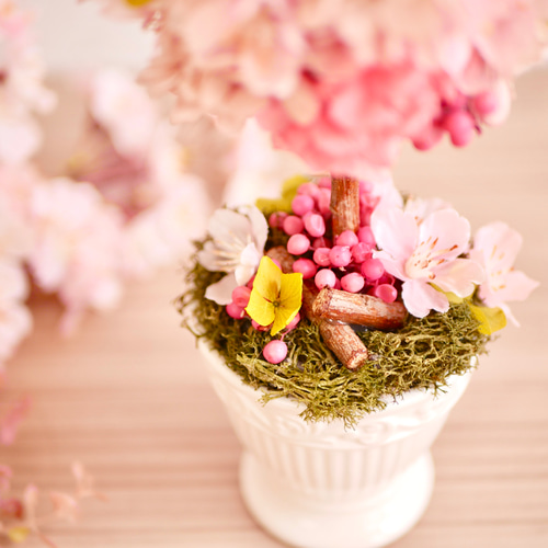 桜に魅せられて 桜のトピアリー プリザーブドフラワー nozomi