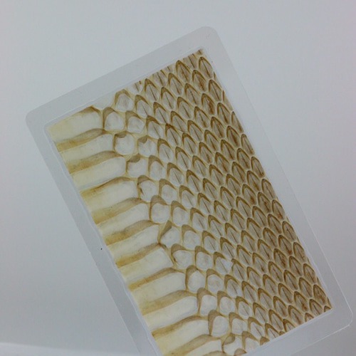 ⭐️最大限に蛇効果を実感する！⭐️非常に美しい皮目の蛇の抜け殻