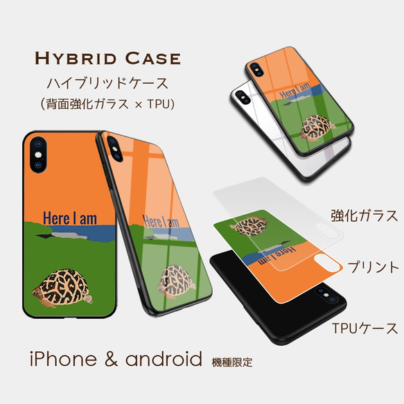 【頑張るホシガメ】 オレンジ　スマホケース　iphone android ほぼ全機種対応 3枚目の画像