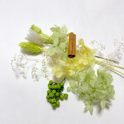 花材セット　ペリドットグリーン　ハーバリウム他 3枚目の画像